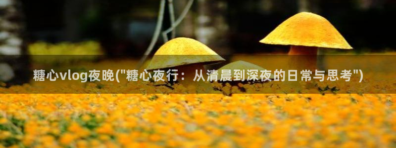 糖心vlgo派大星在线播放