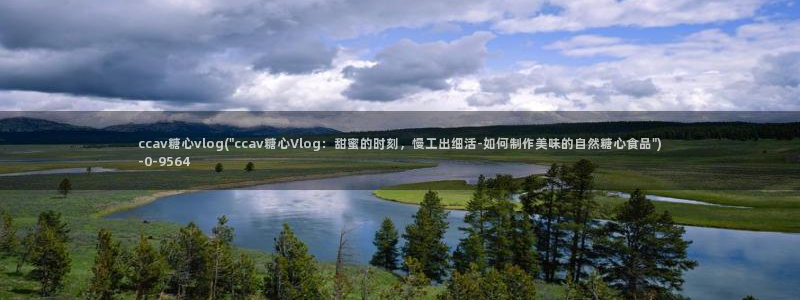 心糖vlog