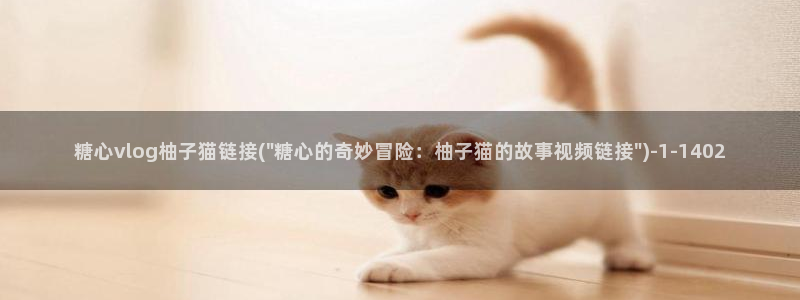 糖心vlgo猫宝宝