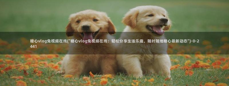 糖心viog官网