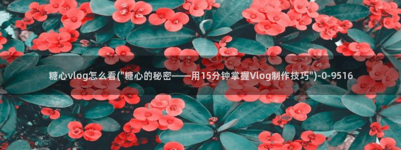  糖心vlog在线观看入口：糖心vlog怎么看(\