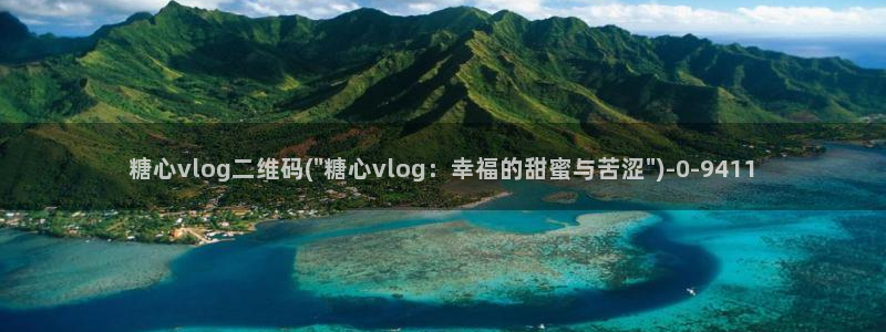 糖心vlog up主