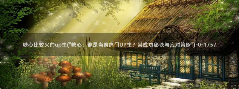 糖心vlog是正规的么