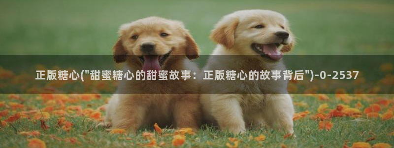 糖心vlog最新网站
