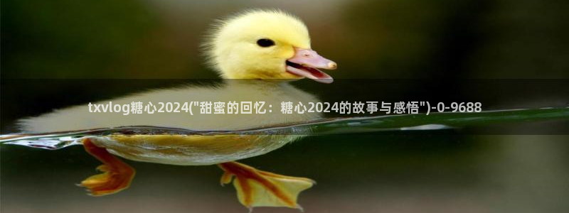 糖心vlog入囗进入