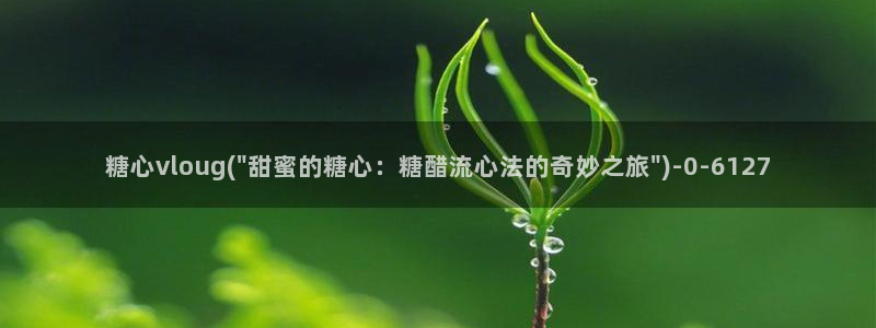 糖心vlog 官网
