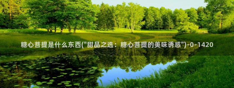 心糖vlog记录