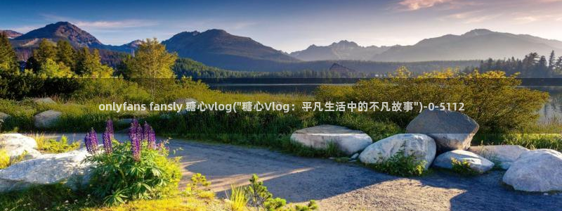 糖心vlog免费版.
