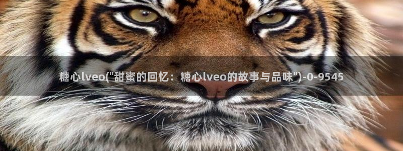 糖心vlog 在线观看