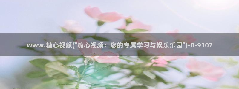 糖心vlog小二