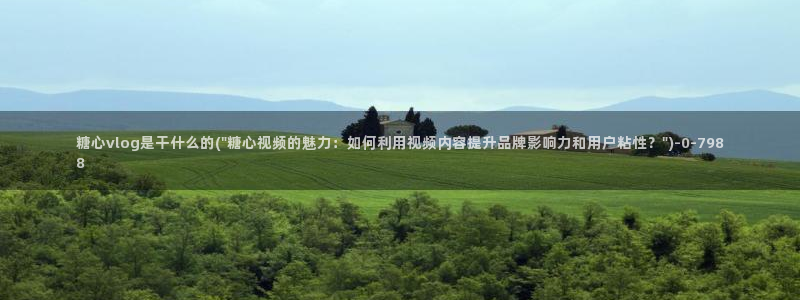 糖心vlog最新网站入口
