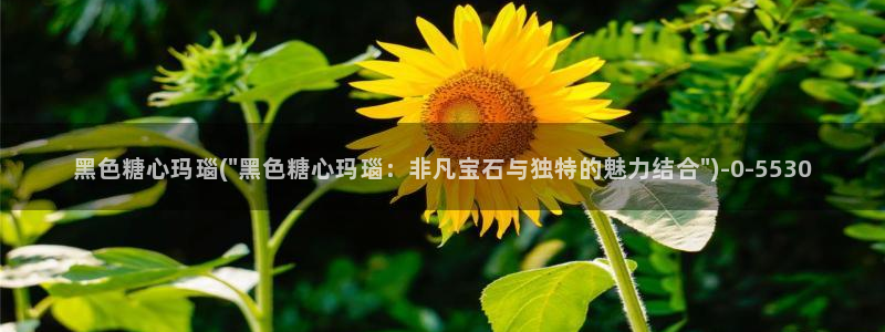 糖心vlog导航