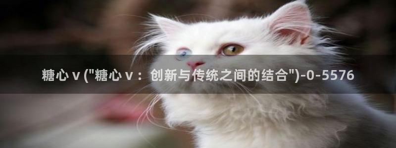 51糖心vlog