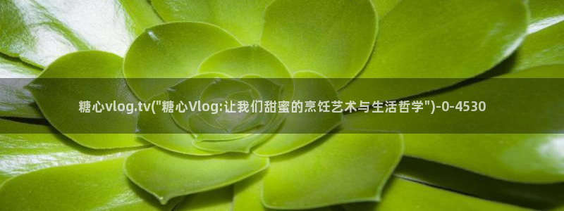 粉色情人糖心vlog