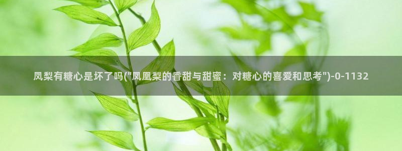 糖心vlog免费高清