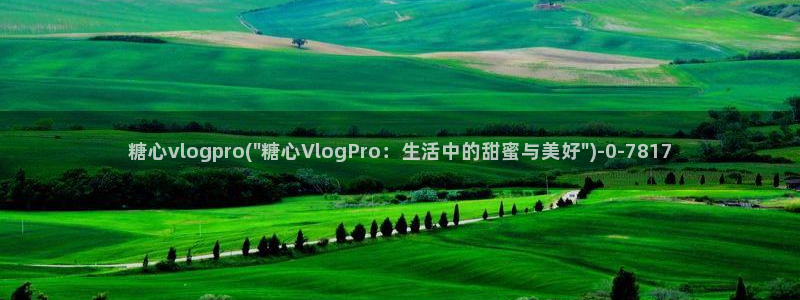 糖心vlog入囗进入