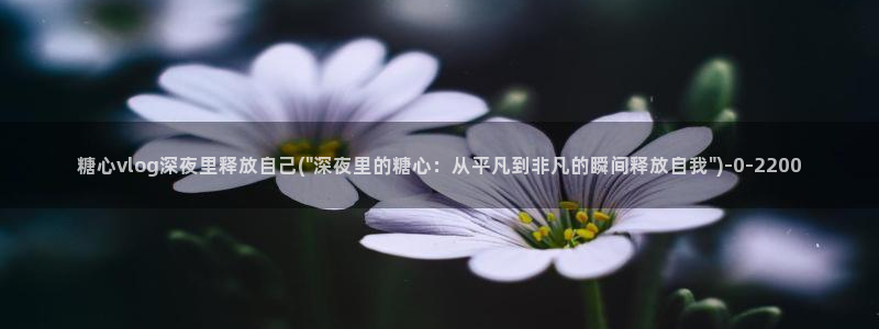 糖心vlog小巨